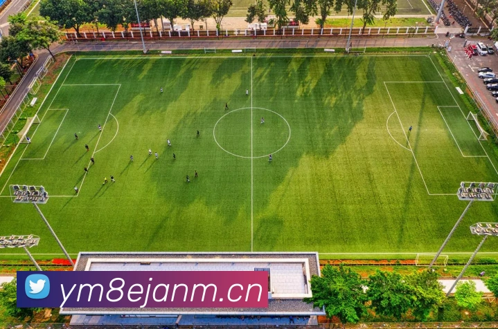 米兰体育在线登录网址服务体系